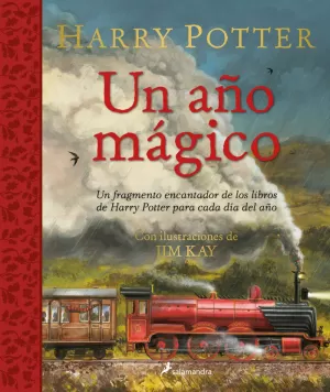 HP UN AÑO MAGICO