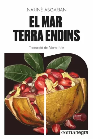 MAR TERRA ENDINS, EL