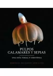 PULPOS CALAMARES Y SEPIAS